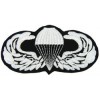Paratrooper Small Patch