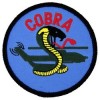 Cobra Small Patch (Round)