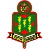 US Marine Corps 5th Regiment Small Patch