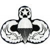 Master Paratrooper Small Patch