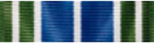 Army Achievement Medal (Military Devices: No Device)
