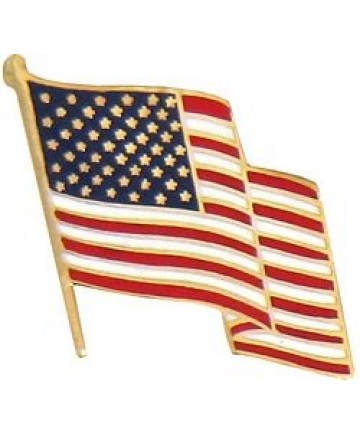 Waving American Flag pin