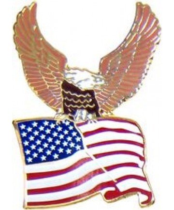 Eagle & Waving US Flag Pin