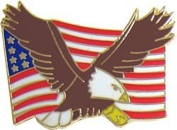 Eagle & US Flag pin