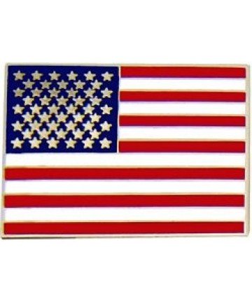 Large US Flag Pin