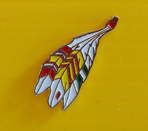 Vietnam Feathers pin