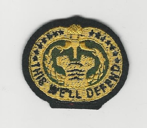 Army Drill Instructor patch