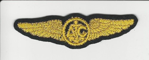 US Air Force Medal, Air Crew Wings in Gold
