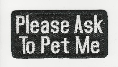 Therapy Dog Patch