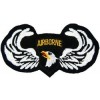 101st Airborne Wings Small Patch