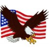 US Flag and Eagle Small Patch