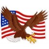 United States Flag and Eagle Back Patch